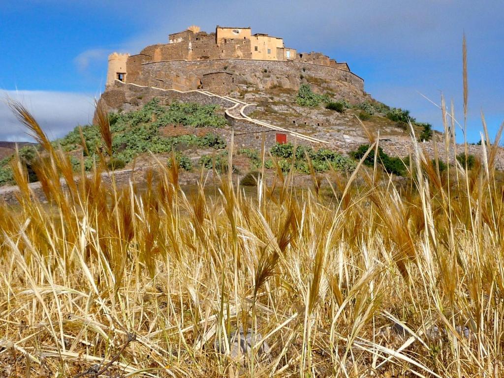 מלון Tiguissas Tizourgane Kasbah מראה חיצוני תמונה