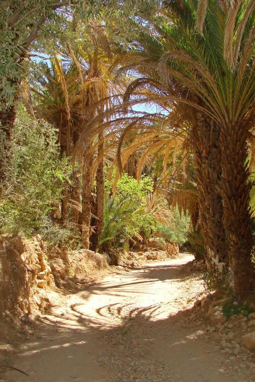 מלון Tiguissas Tizourgane Kasbah מראה חיצוני תמונה